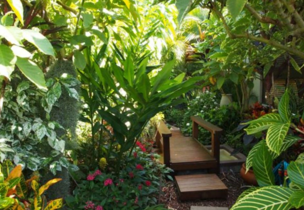 Taman Dengan Tanaman Tropis